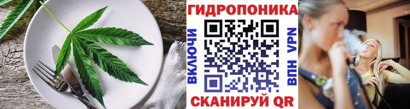 сколько стоит  Удачный  Еда ТГК конопля 