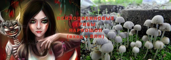 не бодяженный Аркадак